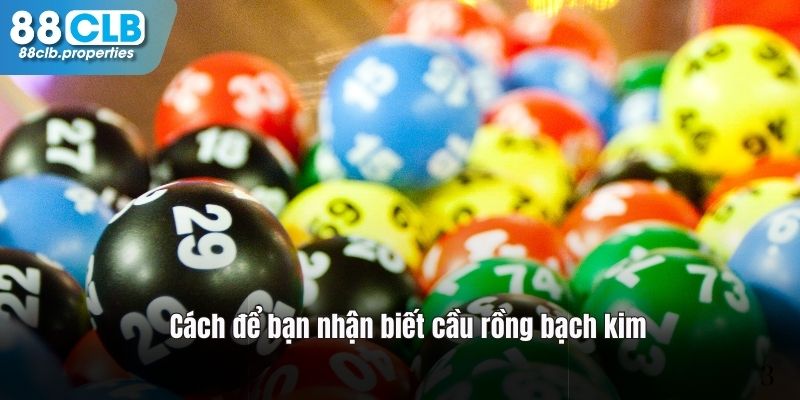 Nhận biết cầu rồng bạch kim để soi dễ hơn