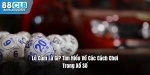 Lô Câm Là Gì? Tìm Hiểu Về Các Cách Chơi Trong Xổ Số