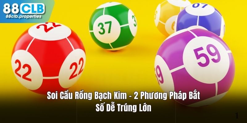 Soi Cầu Rồng Bạch Kim - 2 Phương Pháp Bắt Số Dễ Trúng 2024